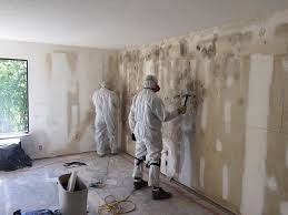 Best Mold Remediation for Healthcare Facilities  in University, FL